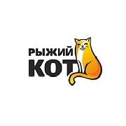 Рыжий кот