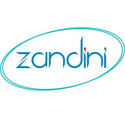 Zandini