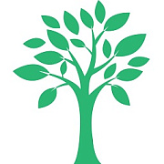Green. Мебель для Кухни